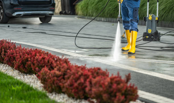 Professional Pressure Washing in Wailuku, HI